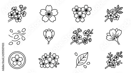 Set of Cherry Blossom Icons and Line Art Illustrations Isolated on Transparent Background