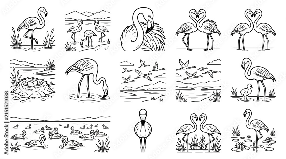 Obraz premium Flamingo Illustration Collection Line Art Vector Graphics of Birds in Various Poses and Environments