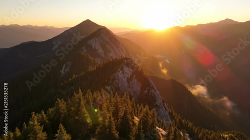 Mountain peak and pine forest at golden sunset