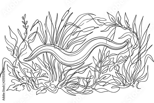A continuous line drawing of a slender eel swimming through aquatic plants.