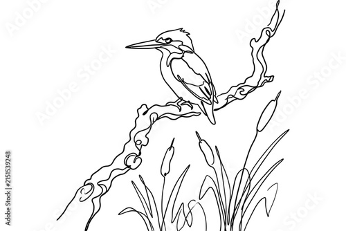 Minimalist continuous line drawing of a kingfisher bird perched on a branch.