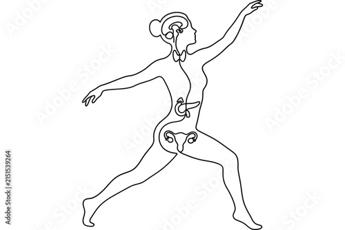 Continuous line drawing of female endocrine system anatomy.