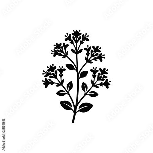 Black silhouette of a flowering plant branch with small blossoms and leaves on white background