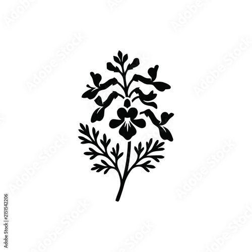 Black silhouette of a delicate flowering plant, ornamental botanical illustration