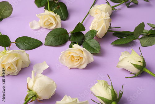 Beautiful white roses on pu...