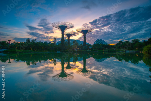 A vibrant night view of Singapore's Marina Bay financial district featuring illuminated skyscrapers, modern architectural structures, and colorful reflections on a tranquil lily pond. Captured with lo