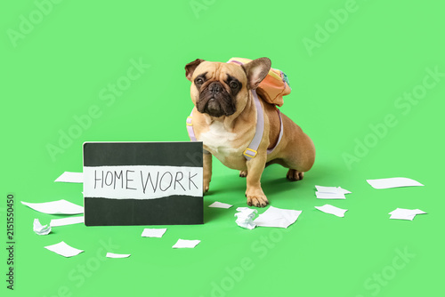 Bild auf Leinwand French bulldog near blackboard with text HOMEWORK and torn paper on green backgr