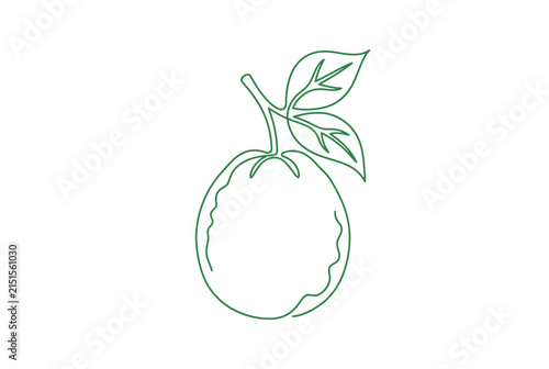 Bild auf Leinwand Minimalist feijoa fruit single line art illustration.