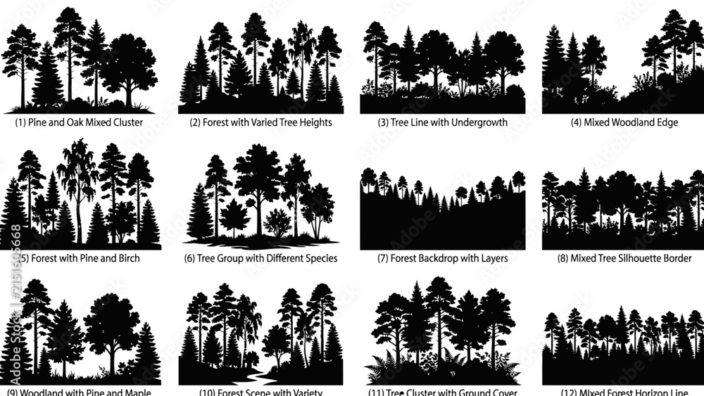 Fototapeta premium Vector illustration of mixed forest tree silhouettes with pine oak birch and maple varieties