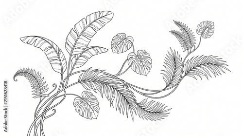 tropical leaves line art