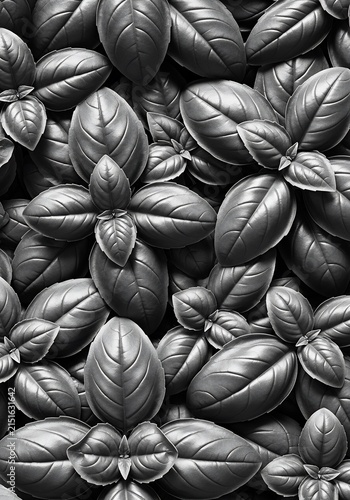 Verdant Tapestry in Monochrome