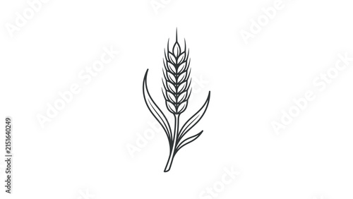 Minimalist Hand Drawn Wheat Ear Icon
