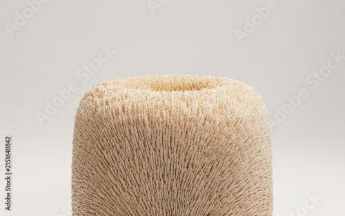 Abstract beige textured cylindrical shape vector