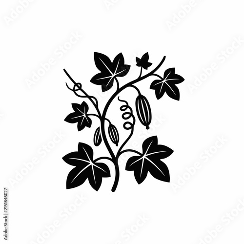 Black and white illustration of a cucumber plant with leaves and fruits, isolated on white.