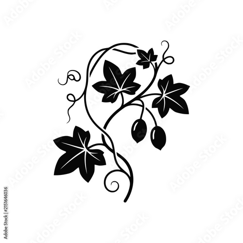 Black Silhouette of a Vine with Leaves and Berries on White Background
