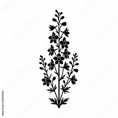 Black Silhouette of Delphinium Flowers on White Background