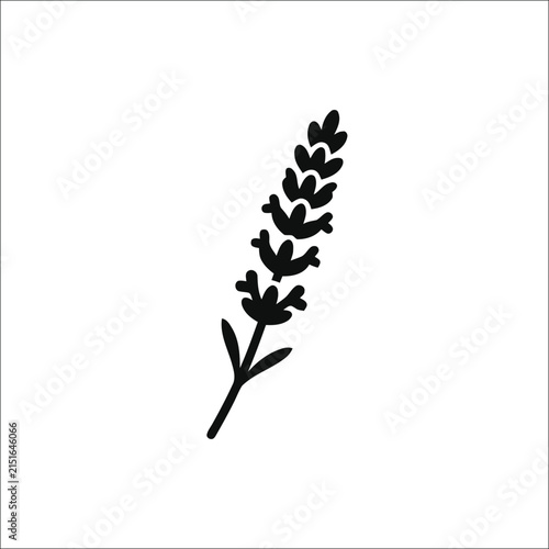 Minimalist Black Lavender Sprig Icon, Simple Botanical Line Art, Isolated on White