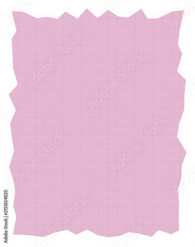 Pink lined paper with scalloped edge torn paper