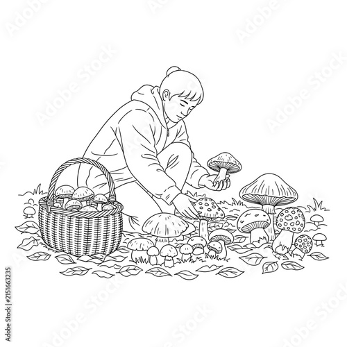 Person Gathering Mushrooms in Autumn Forest, Basket Full of Fungi