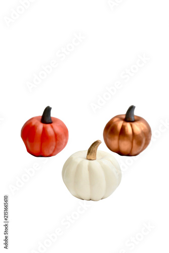 Obraz na płótnie pumpkin and tomatoes