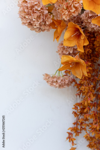 Orange-gold flowers on a white background, leave space for copying.