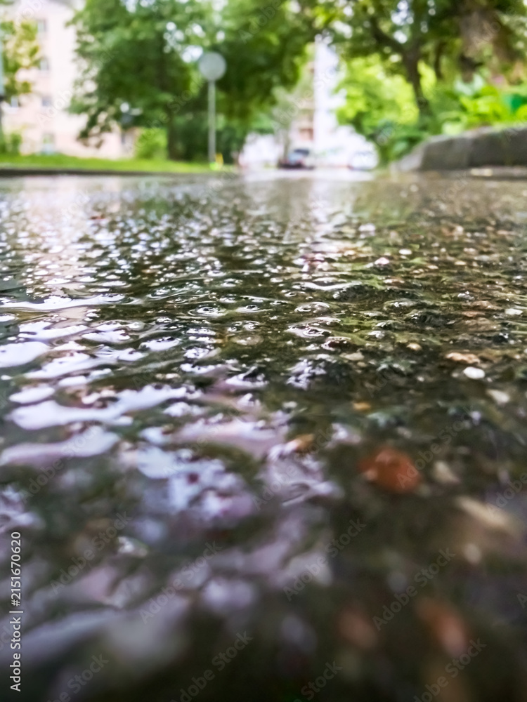 Fototapeta premium rainy street with puddles on wet asphalt and blurred trees on background. low angle view.