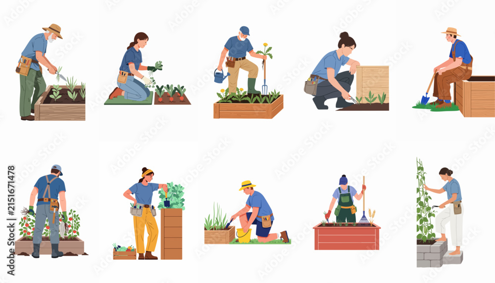 Fototapeta premium Set of diverse people gardening in raised beds and planters, flat vector illustration.