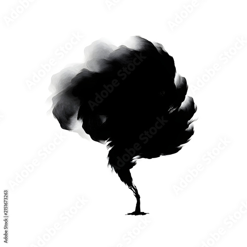 silhouette icon of windy cloud