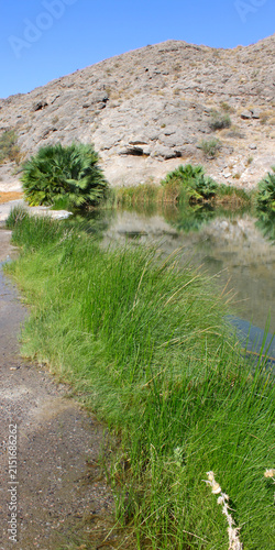Canvas Print Clear waters of Rogers Spring in the arid desert of Nevada