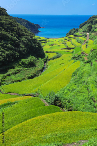 Canvastavla 佐賀県　浜野浦の棚田