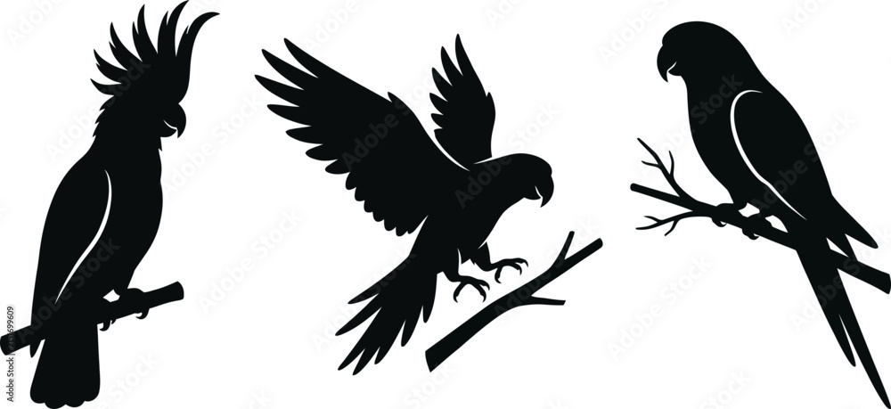 Fototapeta premium Parrot silhouette set, exotic bird vector graphics, black parrot illustration, tropical avian design, wild birds on branch, cockatoo outline icon, funny talking pet image