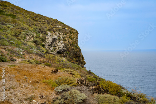 Quadro su tela Coastal bluff covered in windswept scrub and native island vegetation dropping t