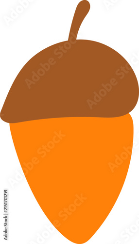 acorn