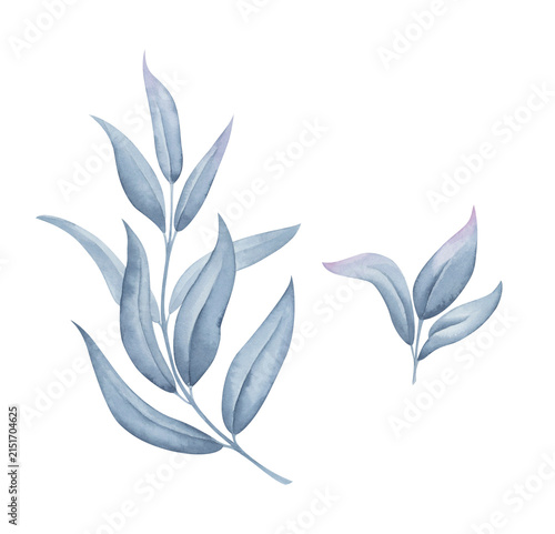 Blue Watercolor Botanical Branches with Elegant Leaves Isolated on White Background