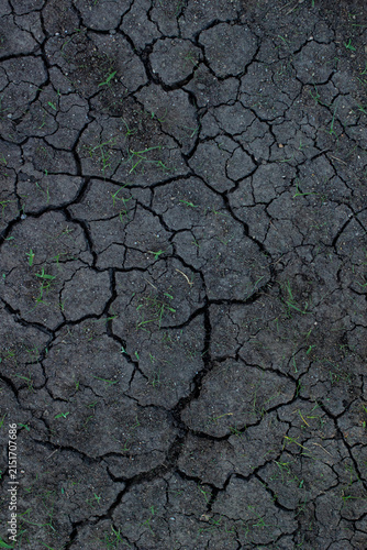 Canvastavla Cracked earth shows signs of drought and dry weather in a rural area