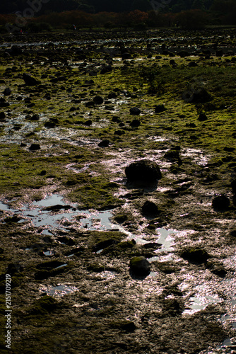 Reflection on wet rocks during low tide at a coastal area near a river