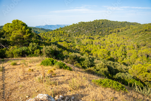 Panoramic view from the mountain pass above Mljet National Park on Mljet Island Croatia. Mediterranean forest landscape and protected nature.