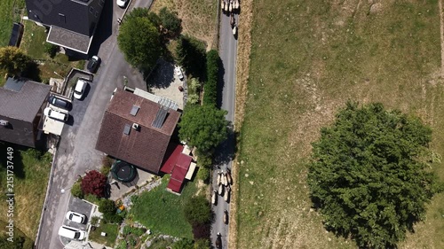 Top-down drone footage of a large herd of cows occupying a village road as farmers guide the animals downhill and manage surrounding roads during the alpine cattle descent.