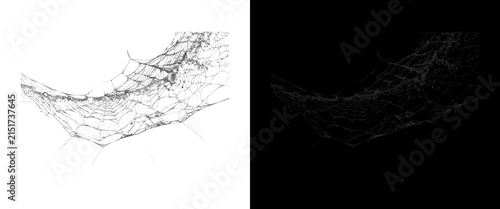 Spooky spiderweb texture overlay, creepy cobweb design elements on white and black backgrounds, halloween graphic assets