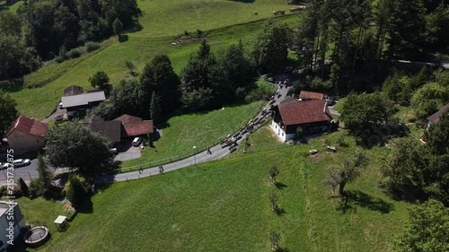 Static aerial side view of cows and farmers descending a winding road through an alpine forest as the herd returns from the mountains.