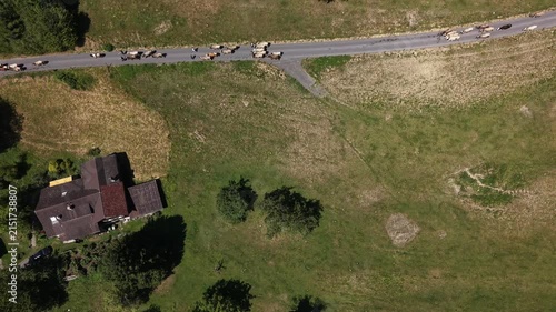 Aerial drone footage pulling away from a herd of cows moving downhill along a mountain road, revealing the scale of the herd and surrounding alpine landscape.