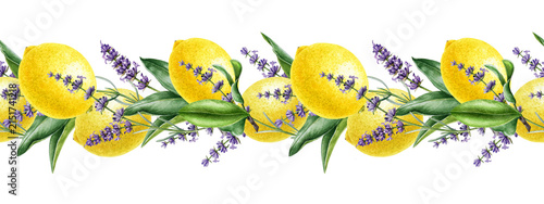 Lemon fruit and lavender flowers seamless border hand painted watercolor illustration. Fresh citrus fruit, purple blooms and green leaves for packaging, labels, stationery, textiles, summer branding