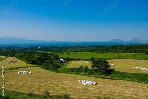 大分県　久住高原