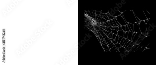 Obraz na plátně Spooky spider web on black background, delicate cobweb texture, dark gothic hall