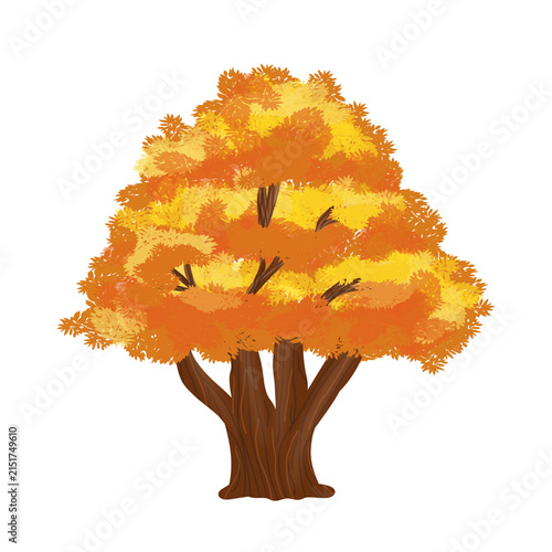 Autumn tree illustration 