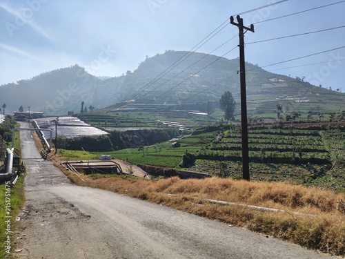 Foto Scenic Asphalt Road Leading to Terraced Farm Fields and Green Mountain Hills Und