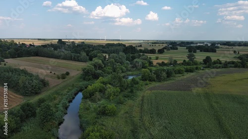 Widawka River Among Greenery