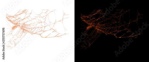 Abstract mycelium network texture, organic root structure on white and black background, biological neural web pattern