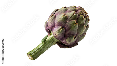Fotografie Fresh raw green artichoke vegetable on stem isolated on transparent background