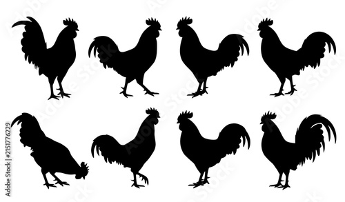 Black Rooster Bird Silhouette Collection Standing and Walking Farm Animal Vector Set